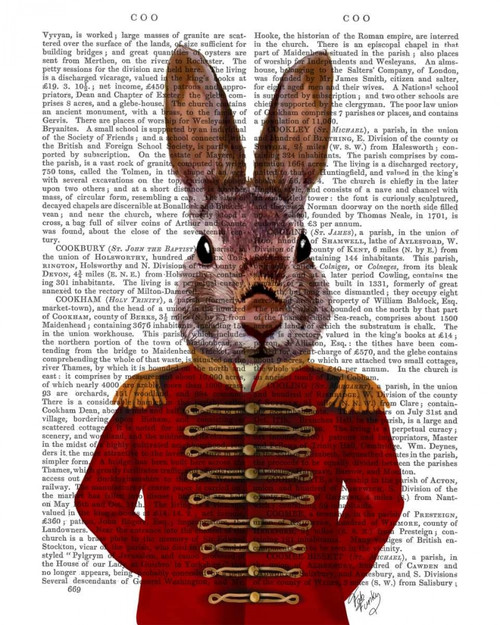 Stampa su tela Poster Fab Funky Coniglio militare in rosso Stravagante Verticale